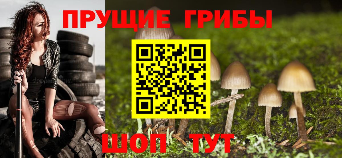 Псилоцибиновые грибы мицелий Всеволожск