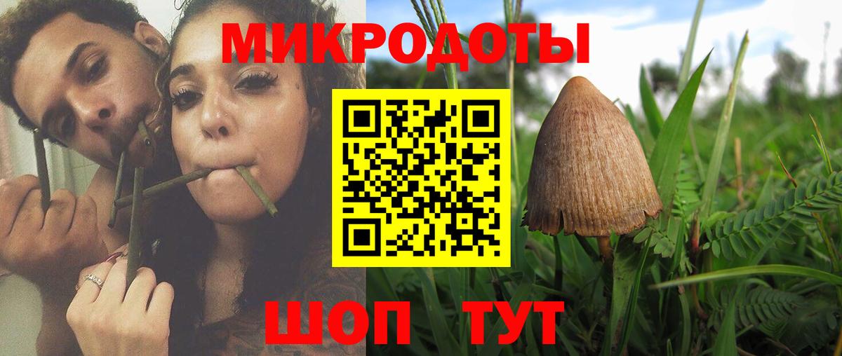 Псилоцибиновые грибы GOLDEN TEACHER  Вход с VPN  Псилоцибиновые грибы мухоморы  Всеволожск 